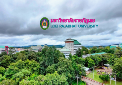 ประกวดราคาจ้างก่อสร้างปรับปรุงห้องประชุมยางนา 2 และห้องศาลจำลอง ตำบลเมืองเก่า อำเภอเมืองขอนแก่น จังหวัดขอนแก่น จำนวน 1 งาน ด้วยวิธีประกวดอิเล็กทรอนิกส์ (e-bidding)